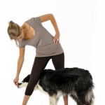 De hond had vroeger verschillende functies Tegenwoordig houden we honden vooral als huisdier. Vroeger hadden honden een functie bijvoorbeeld voor de jacht of het hoeden van het vee.©Fotolia