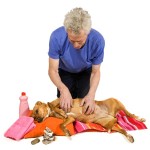 Als uw hond gewend is aan hondenmassage kan hij in slaap vallen tijdens de massage