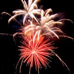 Hond en vuurwerk is vaak geen goede combinatie Je hond en kat vinden vuurwerk vaak eng