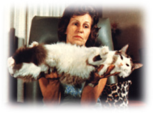 Ann Baker begon in de jaren zestig in California (VS) met het fokken van Ragdolls.
