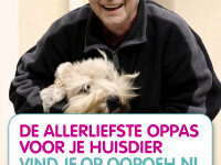 Een Oopoeh is een oudere (55+) die op jouw hond oppast (hondenoppas).