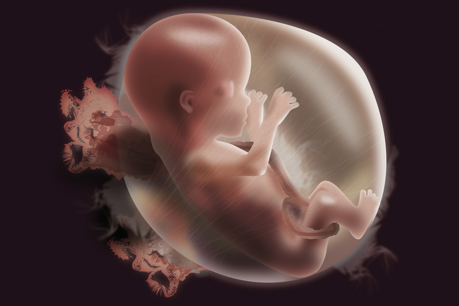 Toxoplasmose is erg gevaarlijk voor je ongeboren kindje. ©ingenium-design.de - Fotolia