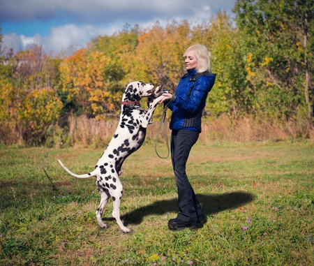 Dog dance of doggy dancing is dansen met je hond. Het is een internationale sport die uit de Verenigde Staten, Canada en Engeland in 1990 naar ons land is overgewaaid.