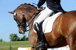 In de dressuurt toetst men hoe goed het paard de ruiter gehoorzaamd.