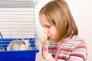 Let bij de aanschaf van een rattenkooi ook op de hoogte; ratten moeten rechtop kunnen staan en houden ook erg van klimmen.©pavel siamionov - Fotolia