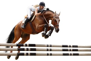 In de springsport gaat het erom dat ruiter en paard in een bepaalde volgorde over verschillende hindernissen springen.©Kseniya Abramova - Fotolia